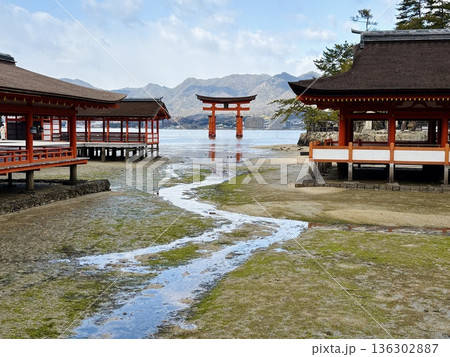 干潮時の安芸の宮島_厳島神社 136302887