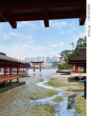干潮時の安芸の宮島_厳島神社 136302890