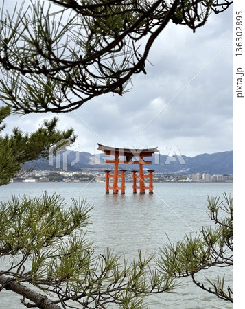 干潮時の安芸の宮島_厳島神社 136302895