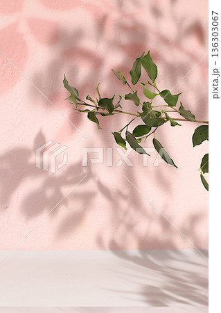 Premium empty podium with shadows of tropical palm leaves on sunny wall, minimal abstract background for cosmetics product presentation, design template, podium on pedestal, selective focus. 136303067