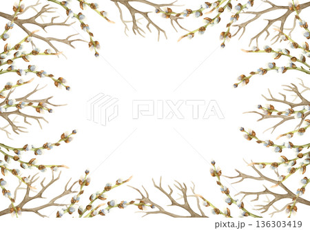Frame of tree branches and willow twigs with fluffy buds. Hand drawn watercolor illustration isolated on white. Pastel clip art for Easter vintage cards, invitations and posters. 136303419