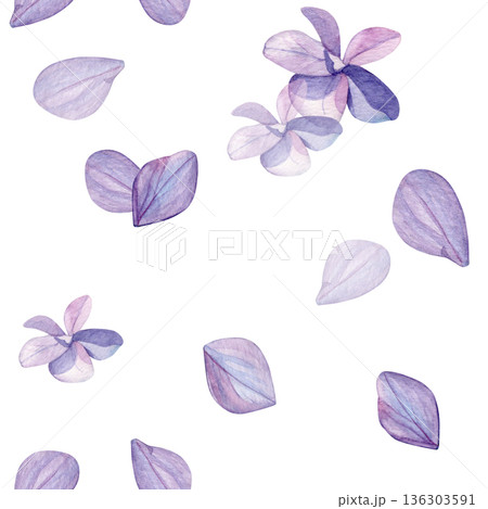 Hydrangea flowers pattern. Watercolor of purple flowers and petals isolated on a white background. Good for postcards, invitations, greeting cards, wallpaper and textiles. 136303591
