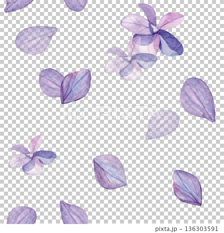 Hydrangea flowers pattern. Watercolor of purple flowers and petals isolated on a white background. Good for postcards, invitations, greeting cards, wallpaper and textiles. 136303591