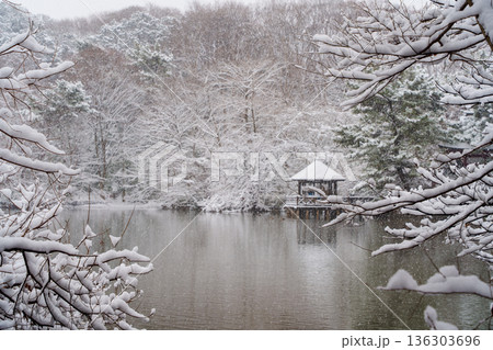 雪の三宝寺池のあずまや 雪の三宝寺池のあずまや 136303696