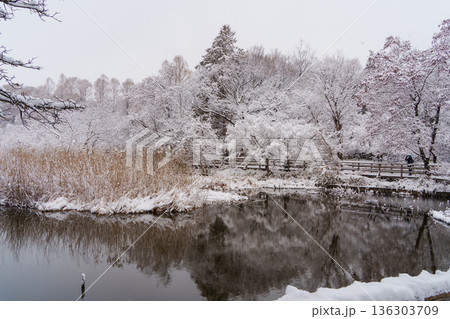雪の三宝寺池 雪の三宝寺池 136303709
