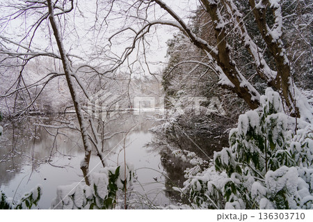 雪の三宝寺池 136303710