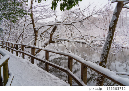 雪の三宝寺池の木道 雪の三宝寺池の木道 136303712