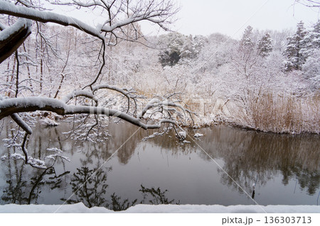 雪の三宝寺池 雪の三宝寺池 136303713
