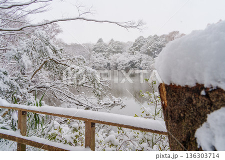 雪の三宝寺池 雪の三宝寺池 136303714