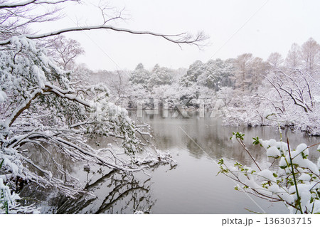 雪の三宝寺池 136303715