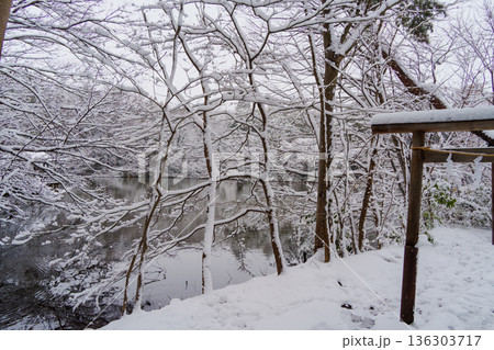 雪の三宝寺池と鳥居 雪の三宝寺池と鳥居 136303717