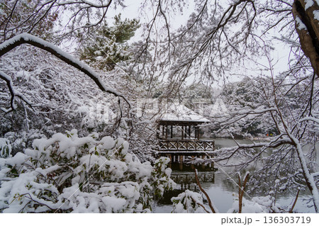 雪の三宝寺池のあずまや 136303719