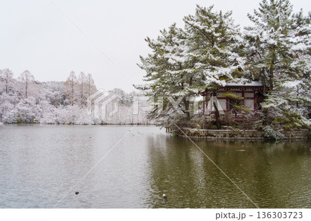 雪の三宝寺池と厳島神社 雪の三宝寺池と厳島神社 136303723