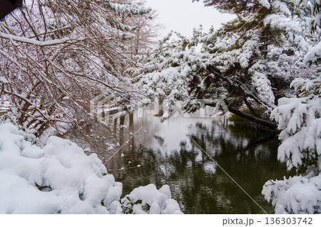 雪の石神井池 雪の石神井池 136303742