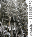 雪の竹林 136303770