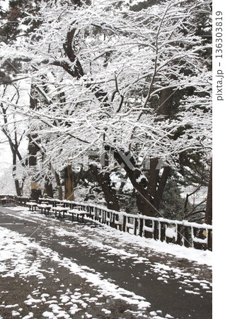 多摩川台公園 136303819