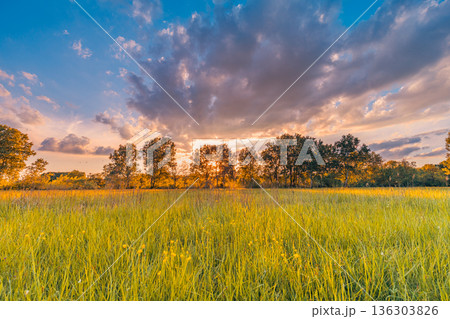 Sunset spring summer landscape. Colorful clouds and sun rays over idyllic field Sunset spring summer landscape. Colorful clouds and sun rays over idyllic field 136303826