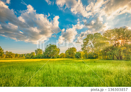 Breathtaking spring summer nature field landscape trees sunset sunlight cloudy idyllic outdoors background Breathtaking spring summer nature field landscape trees sunset sunlight cloudy idyllic outdoors background 136303857
