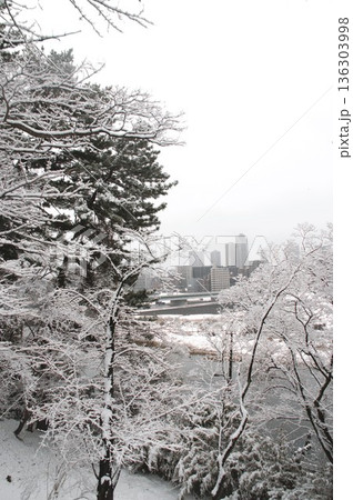 多摩川台公園 136303998