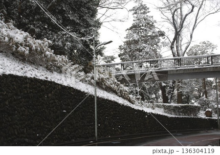 多摩川大公園 多摩川大公園 136304119