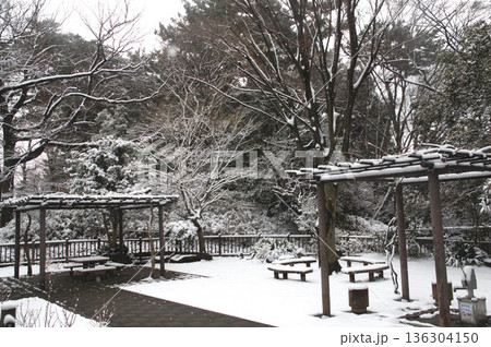多摩川大公園 136304150