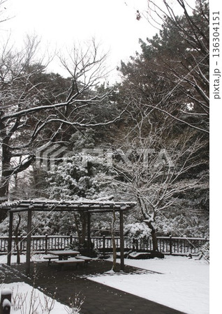 多摩川大公園 多摩川大公園 136304151