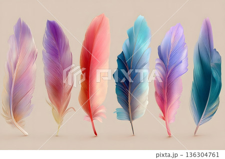 Feather accents with gradient tones and smooth curves, premium vector look 136304761