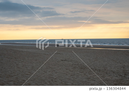 Two people walking on the sand beach near the sea. Sunset background with little ship. Two people walking on the sand beach near the sea. Sunset background with little ship. 136304844