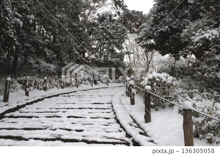 多摩川台公園 136305058
