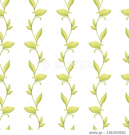 Hand drawn illustration of seamless pattern with elegant green leaves and climbing branches on white background. Botanical floral texture for textile, wrapping paper, wallpaper and surface design. Hand drawn illustration of seamless pattern with elegant green leaves and climbing branches on white background. Botanical floral texture for textile, wrapping paper, wallpaper and surface design. 136305692