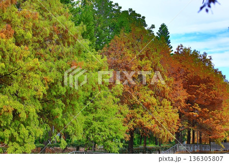 景色 風景 地形 136305807