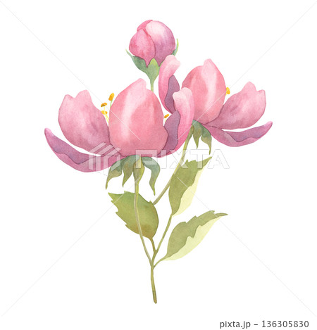 Watercolor Pink Floral Bouquet Watercolor Pink Floral Bouquet 136305830