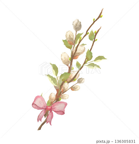Spring Botanical Composition with Branch and Fluffy buds Spring Botanical Composition with Branch and Fluffy buds 136305831