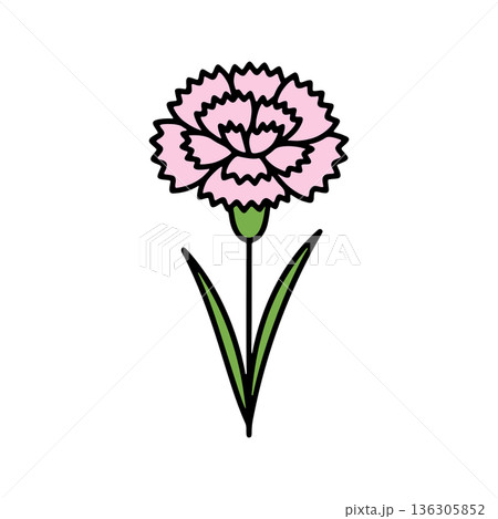 シンプルなカーネーションのカラーアイコン ピンク シンプルなカーネーションのカラーアイコン ピンク 136305852