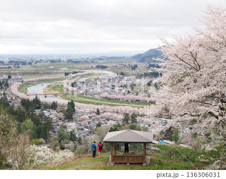 どんより曇天の角館、古城山公園展望台から俯瞰する満開の桜と武家屋敷通り（春の街並み） 136306031