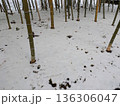 雪、竹林 136306047