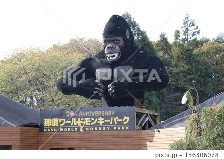 那須ワールドモンキーパーク、那須、栃木県 136306078