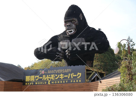 那須ワールドモンキーパーク、那須、栃木県 那須ワールドモンキーパーク、那須、栃木県 136306080