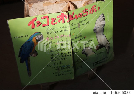 那須ワールドモンキーパーク、那須、栃木県 136306088