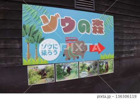 那須ワールドモンキーパーク、那須、栃木県 那須ワールドモンキーパーク、那須、栃木県 136306119