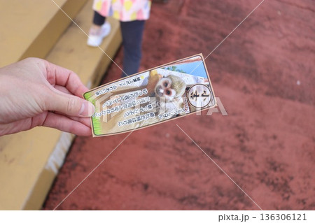 那須ワールドモンキーパーク、那須、栃木県 136306121
