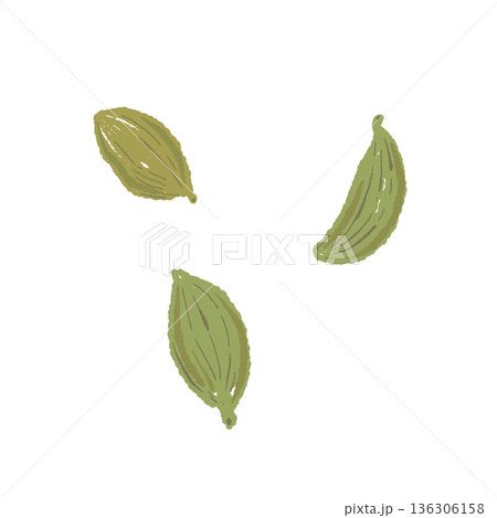 チャイの香りの主役であるグリーンカルダモンのイラスト チャイの香りの主役であるグリーンカルダモンのイラスト 136306158