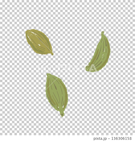 チャイの香りの主役であるグリーンカルダモンのイラスト チャイの香りの主役であるグリーンカルダモンのイラスト 136306158