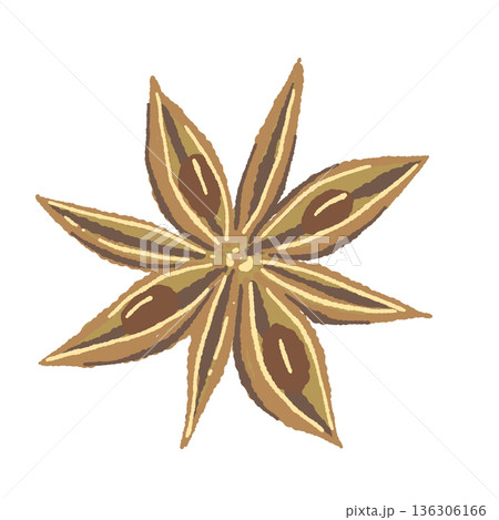 詳細に描かれた一粒のスターアニス(八角)のイラスト 詳細に描かれた一粒のスターアニス(八角)のイラスト 136306166
