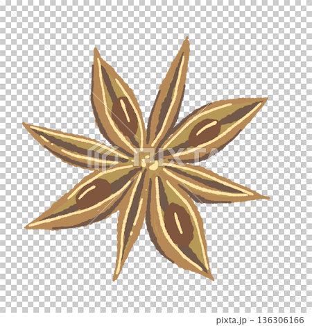 A detailed illustration of a single star anise 136306166
