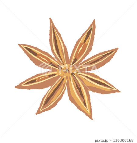 角度をつけて描かれたスターアニス（八角）のイラスト 136306169