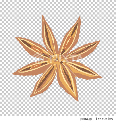 角度をつけて描かれたスターアニス（八角）のイラスト 136306169