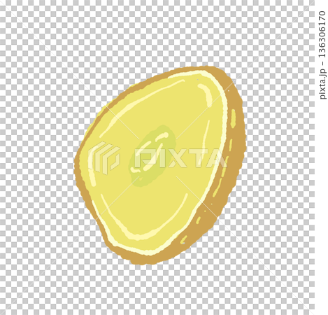 一枚の生姜（ジンジャー）のスライスイラスト 136306170