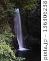 森の中にある滝 136306238