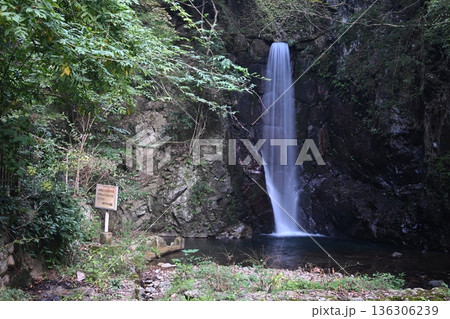 森の中にある滝 136306239